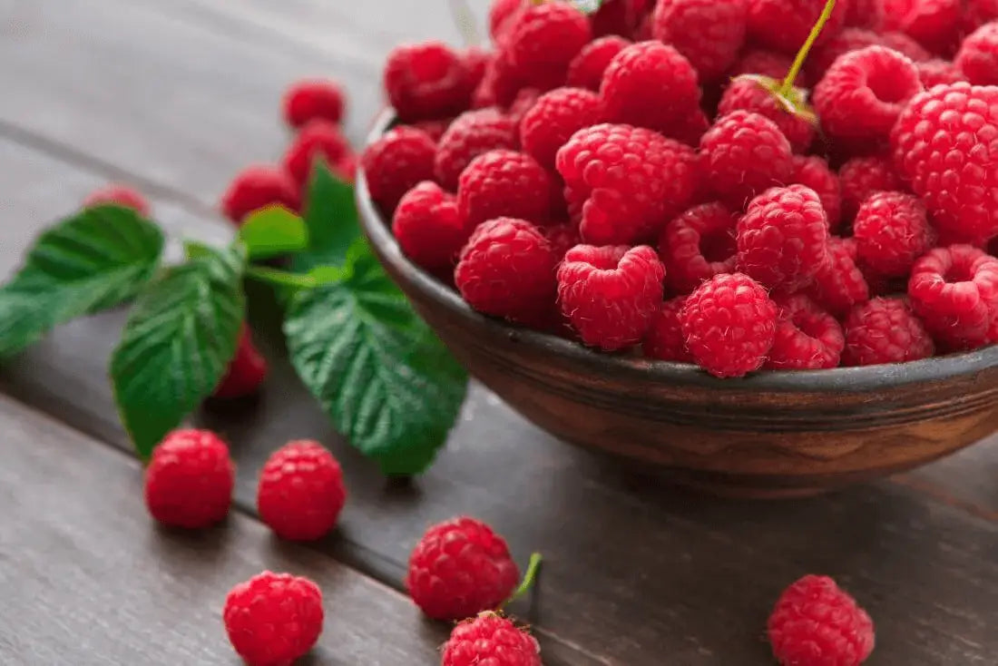 What Is Red Raspberry Seed Oil? An Overview of Its Origin and Uses