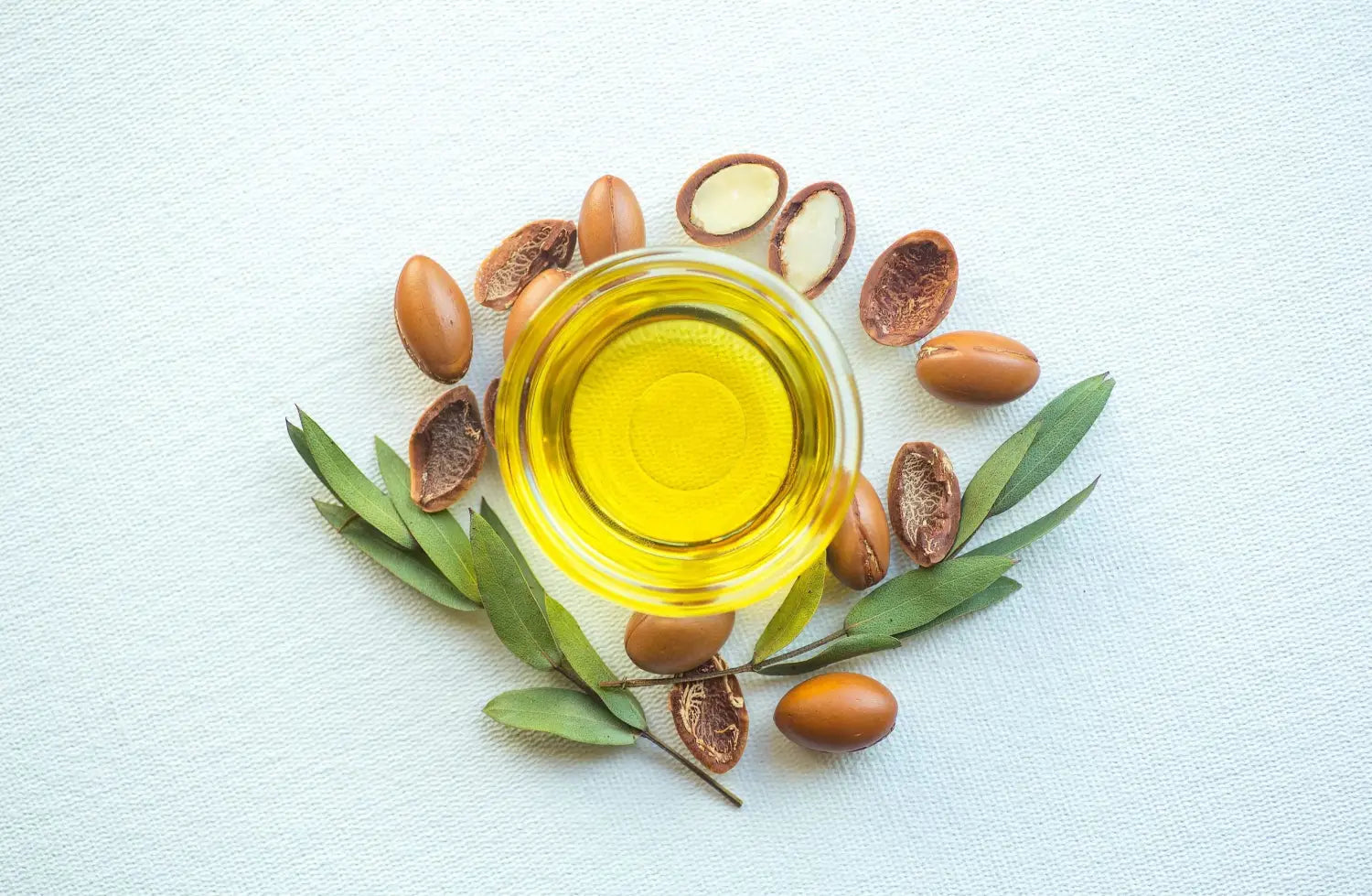 Why Argan Oil is a Favorite in Luxury Cosmetic and Personal Care Products