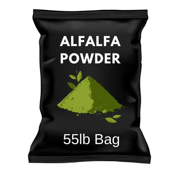 Alfalfa Powder 25KG – Natural Herbal Powder for Culinary and Personal Care Use | Fresh, Fine-Textured, and Versatile.