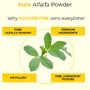 Alfalfa Powder 10LB – Natural Herbal Powder for Culinary and Personal Care Use | Fresh Fine-Textured and Versatile