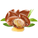 Argan Oil 100% Pure & Natural Morocco Oil | Cold Pressed | Great for Skin Nails & Hair | Non-Greasy Body Oil | Face