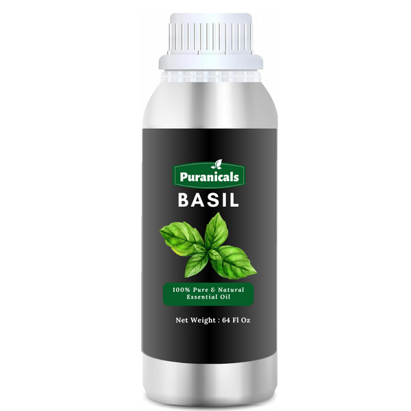 Basil Essential Oil 64 Ounces by Puranicals | 100% Pure & Natural | Aromatic Harmony for Mind and Body