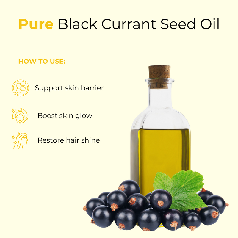 Black Currant Seed Oil 100% Pure & Natural by Naturevibe Botanicals | Cold Pressed | Light Weight Formula | Great