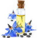 Borage Seed Oil 100% Pure and Natural Unrefined and Hexane-Free | Nourishes Skin and Hair | Suitable for all Skin Types