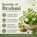 Features of Naturevibe Botanicals bulk brahmi leaf powder