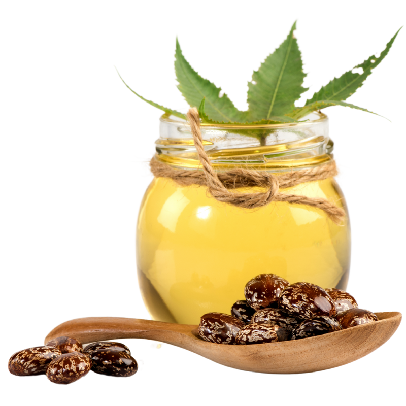 Pure Cold-Pressed Castor Oil - 6.6 Gallon Bulk Pack | Premium Quality for Beauty Wellness & Industrial Applications