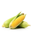 Corn Starch, 2lbs - NaturevibeBotanicals