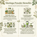 Moringa powder benefits infographic with icons and text on a light background