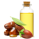 Golden Jojoba Oil 100% Pure & Natural by Naturevibe Botanicals | Cold Pressed | Great for Skincare and Haircare | Used