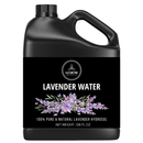 Lavender Hydrosol Floral Water by Naturevibe Botanicals | 100% Pure & Natural Lavender Hydrosol | Facial Toner Great