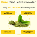 Mint Leaves Powder 25KG – Natural Herbal Powder for Culinary and Personal Care Use | Natural Wellness for Everyday