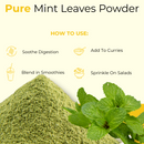 Mint Leaves Powder 25KG – Natural Herbal Powder for Culinary and Personal Care Use | Natural Wellness for Everyday
