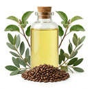 Glass bottle of apple seed oil with cork, surrounded by apple leaves and apple seeds.