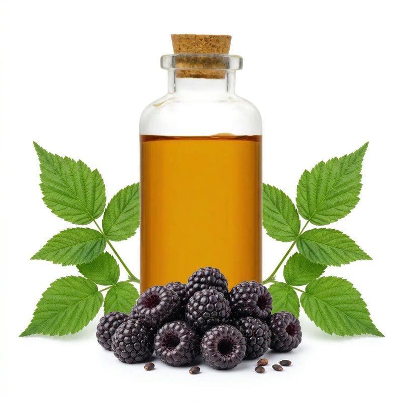 Naturevibe Botanicals Black Raspberry Oil 128oz Premium Quality | 100%