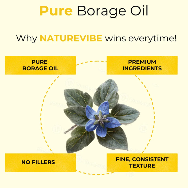 borage plant benefits Naturevibe Botanicals Borage Oil 128oz Premium Quality | 100% Pure Cold  Pressed