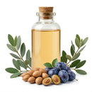 Naturevibe Botanicals Plum Oil 128oz Premium Quality | 100% Pure Cold Pressed | Ideal for Skin Care & Hair Care - 128