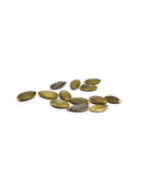 Raw pumpkin seeds on a white background, healthy snack, natural superfood