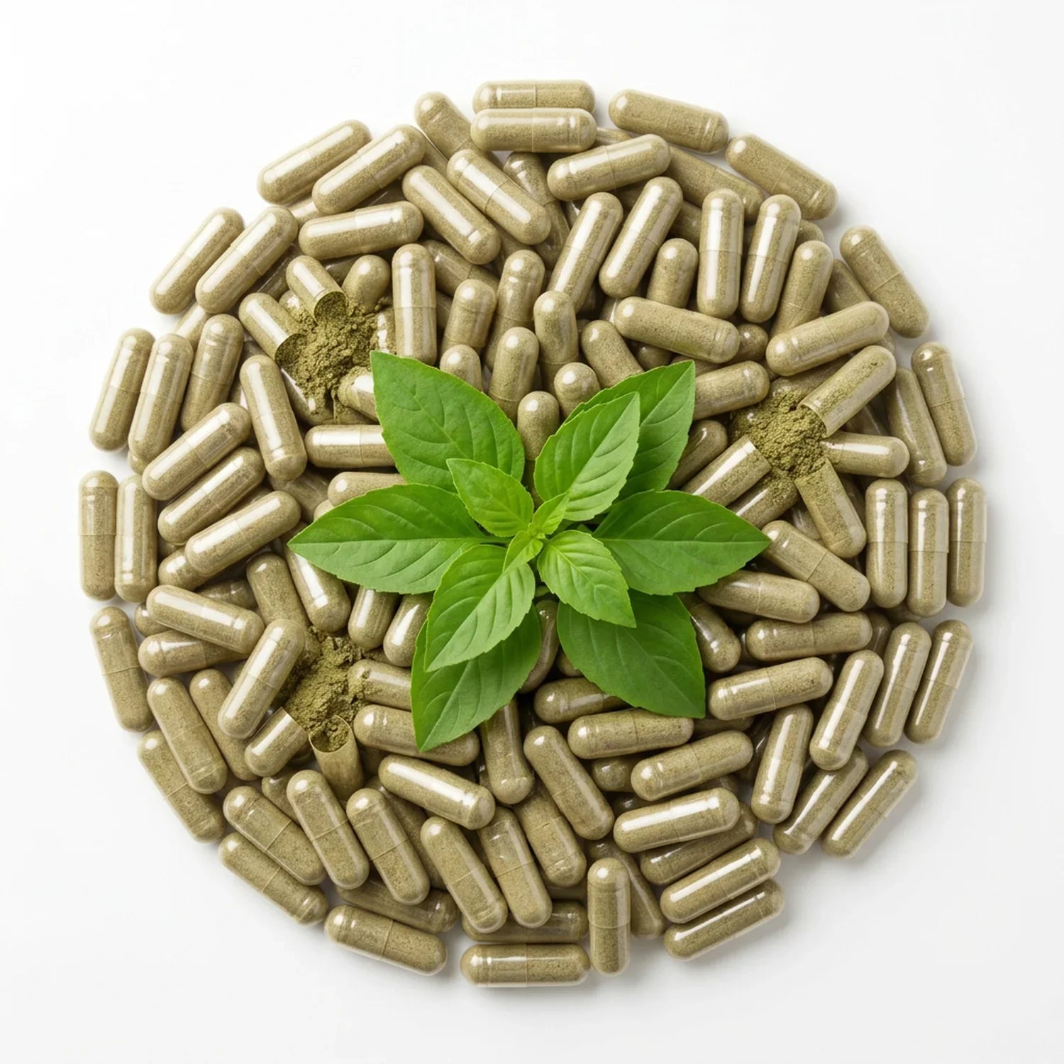 Puranicals Premium Holy Basil 960 Capsules – Natural | Herbal Adaptogen Supplement | 600 mg Pure Holy Basil (Tulsi) per