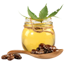 Pure Cold-Pressed Castor Oil - 6.6 Gallon Bulk Pack | Premium Quality for Beauty Wellness & Industrial Applications