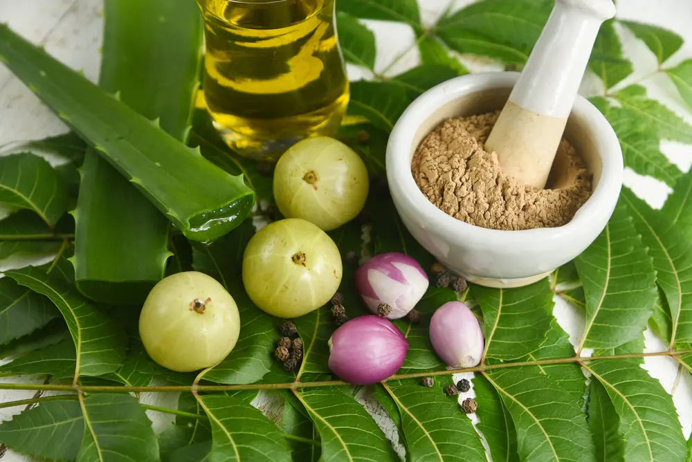 Naturevibe Botanicals- Amla Berry Powder