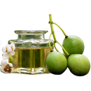 Tamanu Oil | 100% Pure and Natural Cold Pressed Body Oil | Great for Skin Care and Hair Care - 128 FL OZ - Health &