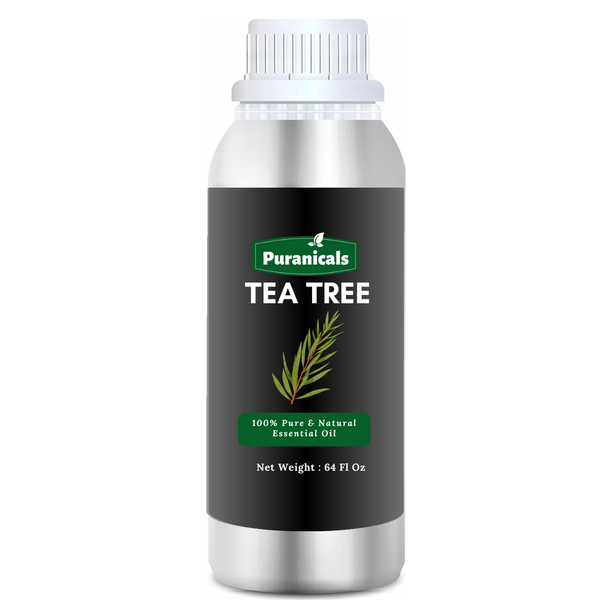 Tea Tree Essential Oil 64 Ounces by Puranicals | 100% Pure & Natural | Invigorating Cleanser for Mind and Body | Refreshing Clarity with Every Drop