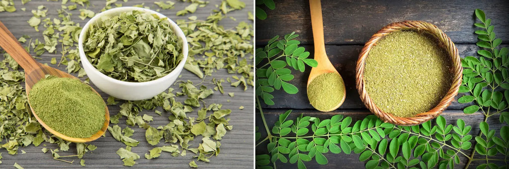Naturevibe Botanicals Moringa Leaf Powder
