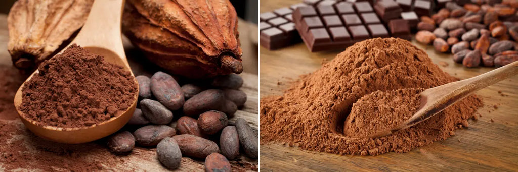 Naturevibe Botanicals Cocoa Nibs