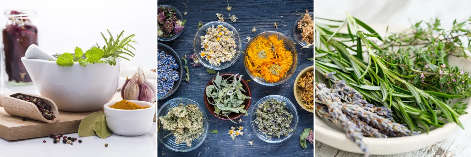 Top 5 herbs & spices you should have in your kitchen.