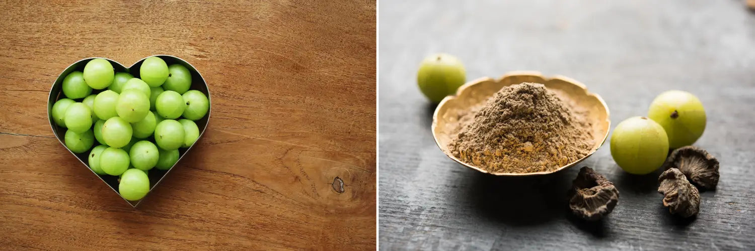 Naturevibe Botanicals Amla Berry Powder