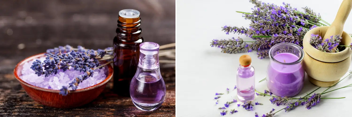 Organic Lavender Oil