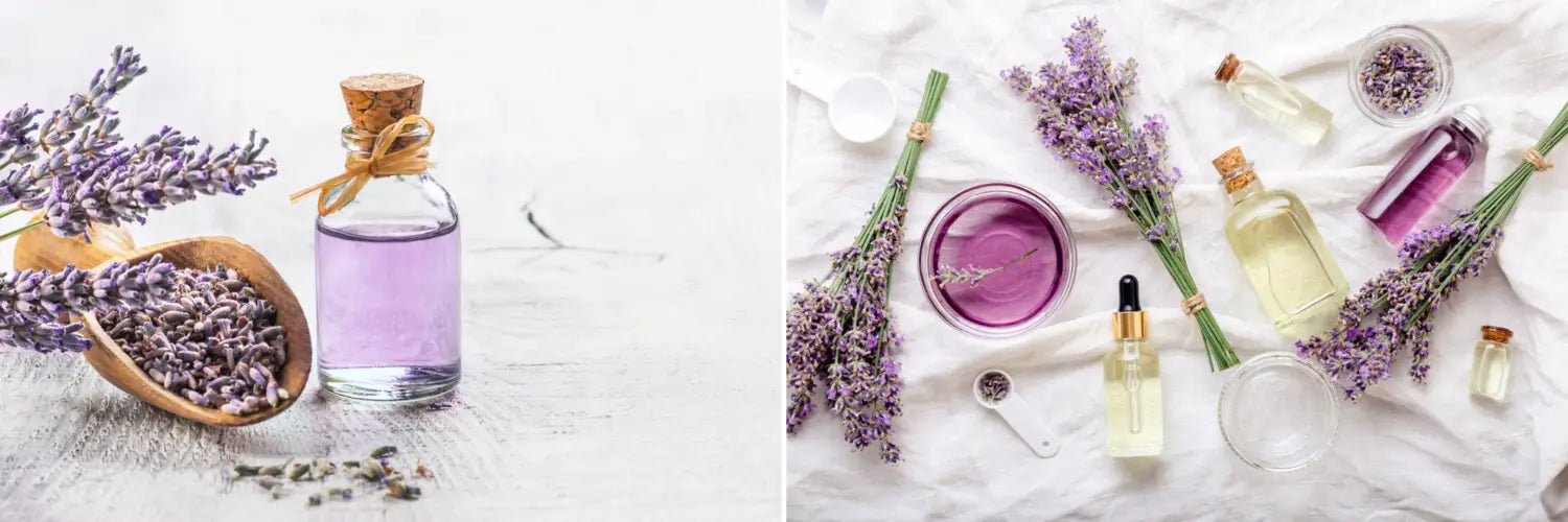 Organic Lavender Oil Naturevibe Botanicals