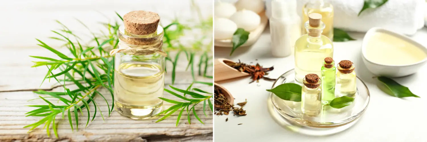 Organic Tea Tree Oil