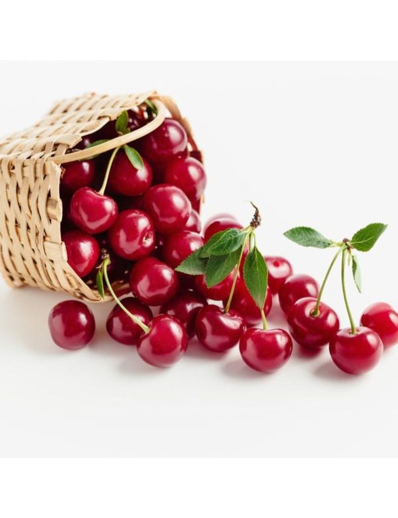 Tart Cherry Extract 4:1 - NaturevibeBotanicals